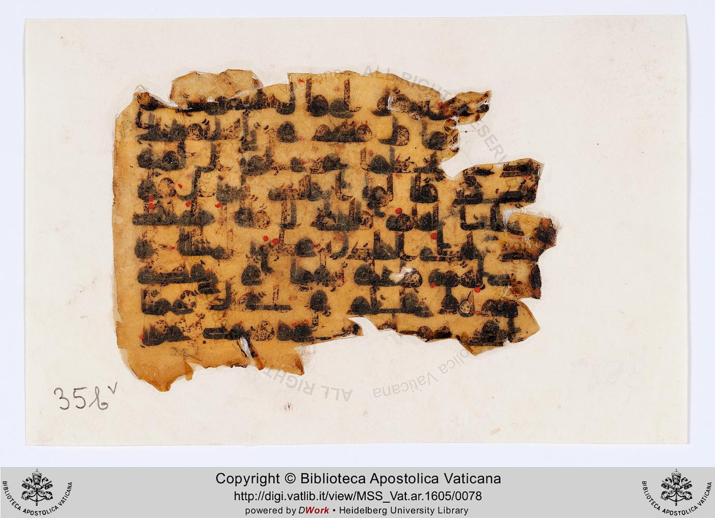 Rome, Biblioteca Apostolica Vaticana, Vat. Ar. 1605 (35), in kūfī D.IV script, showing Surah 47:16 from 8th to 9th Century AD found in Fustat (Old Cairo), Egypt, currently housed at Biblioteca Apostolica Vaticana, Rome